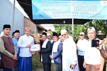 Bupati Lampung Selatan salurkan bantuan sapi kurban Presiden