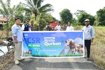 Huabao Indonesia salurkan 17 hewan kurban untuk delapan desa sekitar lingkar industri