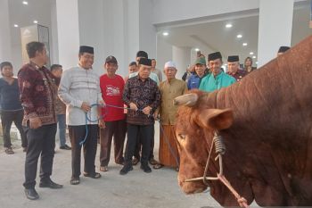 Gubernur Jambi ajak  warga jadikan Idul Adha kesempatan berbagi