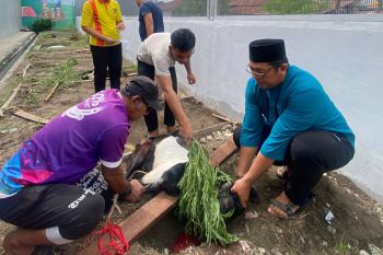 Ditjenpas Sulteng salurkan 34 ekor hewan kurban untuk warga binaan