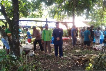 LDII Agam potong 15 hewan kurban pada Idul Adha