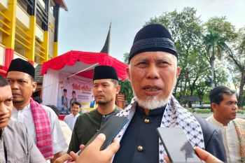 Pemprov catat jumlah sapi kurban Sumbar capai 43.000 ekor