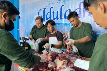 Idul Adha, Pelindo Jasa Maritim salurkan 42 ekor sapi dan 62 ekor kambing
