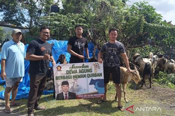 Relawan Semeton Dewa Agung salurkan hewan kurban ke masyarakat Muslim di Bali