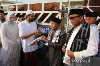 FOTO - Gubernur Aceh serahkan sapi kurban bantuan Presiden