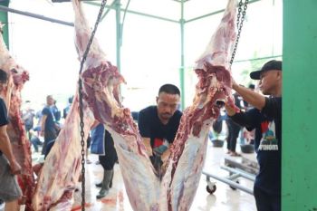 Masjid Al-Azhom Tangerang distribusikan 5.000 paket daging kurban