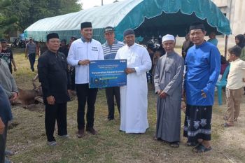 PNM salurkan kurban di 65 Gampong di Aceh