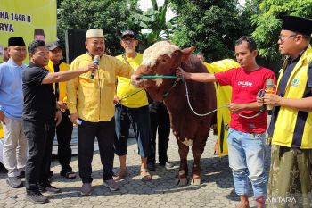 Golkar Jatim gandeng dinas peternakan pastikan hewan kurban sehat