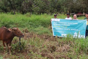PT SCM salurkan 28 hewan kurban ke masyarakat lingkar tambang di Konawe