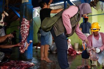 DKPP Kota Madiun periksa daging kurban setelah proses penyembelihan