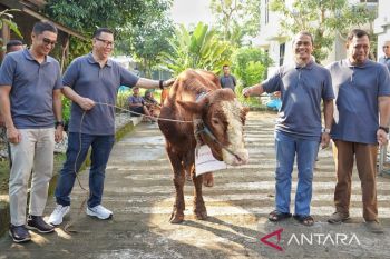 Jasamarga Transjawa Tol berbagi berkah 60 ekor hewan kurban