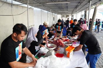 Rayakan Idul Adha 1446 H, PLN Salurkan Daging Kurban di Berbagai Daerah