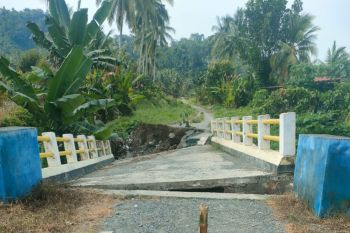BPBD Sulteng laporkan 54 rumah warga terendam banjir di Tambarana Poso