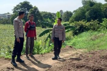 Polsek Waringinkurung ubah semak belukar jadi lahan jagung