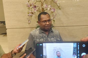 Raja Ampat to tighten oversight on mining pollution