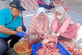 Dispangtan Kota Malang temukan 583 hewan kurban terpapar cacing hati
