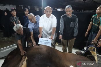 Unida-YPSPIAI salurkan 3.000 paket daging kurban di Ciawi
