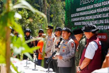 Polda Riau tangkap empat pelaku perambahan hutan lindung di Kampar