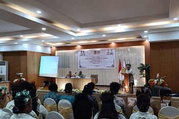 Pemkab minta Dekranasda kembangkan potensi kerajinan khas Mimika