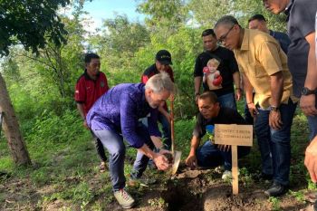 Dishut-Sulteng kolaborasi lestarikan keanekaragaman hayati di Tahura