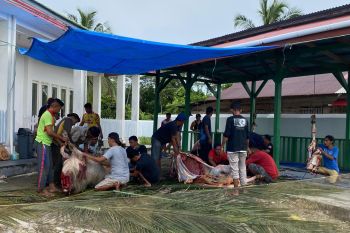 Semangat berbagi di Hari Raya Idul Adha, PLN UID Sumatera Barat salurkan daging kurban ke masyarakat