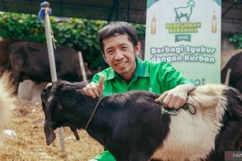 Mitra pengemudi di Balikpapan dan Samarinda dapat hewan kurban