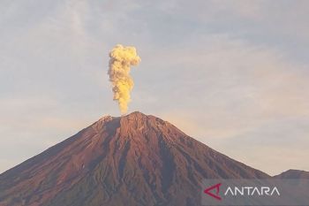 Semeru berkobar: Letusan melesat hingga 1 km di lintas pagi