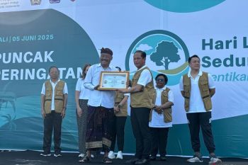 From herbs to mangroves: Eco-guardians plant seeds of sustainability