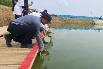 Lahan Lapas  Kendal jadi kolam ikan untuk dukung ketahanan pangan