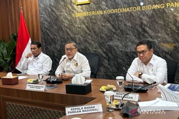 Pemerintah siap kirim bantuan 10 ribu ton beras ke Palestina