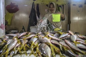 Dislutkan optimalkan tiga komoditi budidaya unggulan di NTB