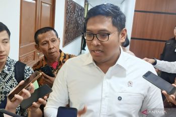 Government confirms rice exports to Malaysia, stocks safe