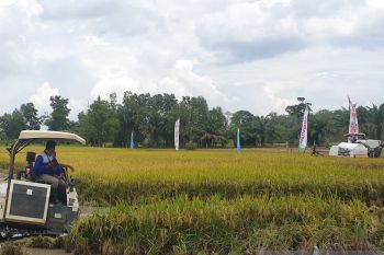 Korem 044 Gapo optimalisasikan lahan sawah ribuan hektare
