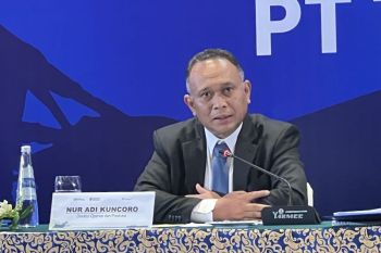 PT Timah targetkan lahan eks Koba Tin mulai berproduksi