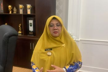 Bupati Siak tegaskan pemilihan Direktur PT BSP dilakukan terbuka dan transparan