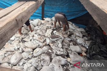 TNI AL Babel amankan 45,7 ton timah ilegal muatan kapal kandas