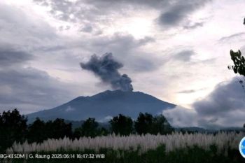 Tinggi erupsi Gunung Raung capai 1.500 meter