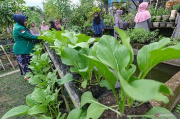 Pilihan buah dan sayur untuk lancarkan pencernaan saat puasa