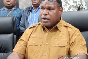 Pemkab Jayawijaya: Sekolah adat menjaga eksistensi nilai budaya