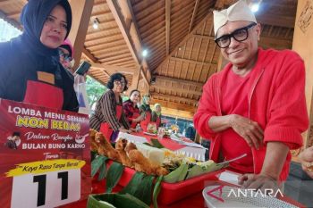 DPR  dorong pemda tarik minat masyarakat konsumsi pendamping beras