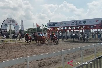 Ratusan kuda se-Indonesia berlaga dalam kejuaraan kuda balap di Bantul