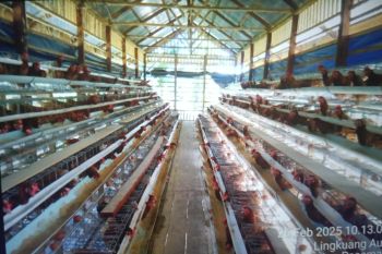 Pemkab Pasaman Barat masukkan 20 persen anggaran ketahanan pangan dari dana desa