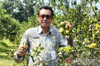 Pemkab Batang kembangkan  BBP Clapar jadi agroeduwisata
