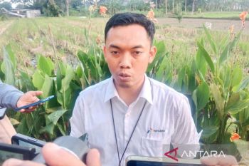 Pertamina: Stok BBM dan elpiji di DIY aman saat libur sekolah