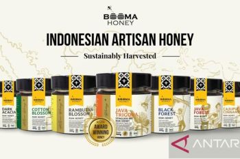 UMKM madu lokal tembus pasar global dari dukunganBRI
