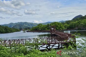Pemprov: Pengelolaan hutan lestari Papua butuh tiga prinsip utama