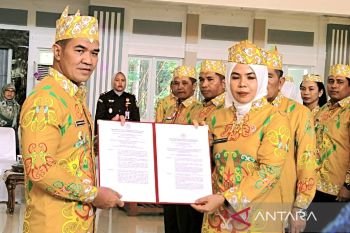 Bupati Pulang Pisau beri motivasi Dekranasda majukan kerajinan lokal