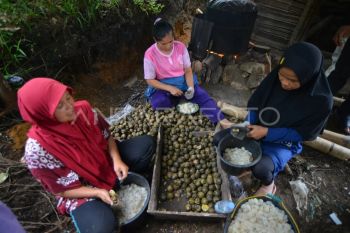 Pengolahan buah atap di Tanah Datar