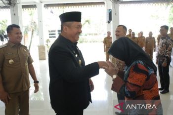 Bupati lantik TP Posyandu Kabupaten Asahan