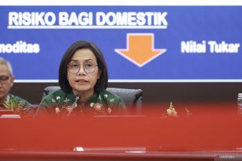 Sri Mulyani: "flat tax" tak relevan dengan kebutuhan Indonesia